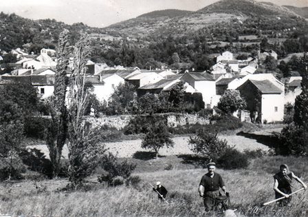 Scène de moisson à Escouloubre