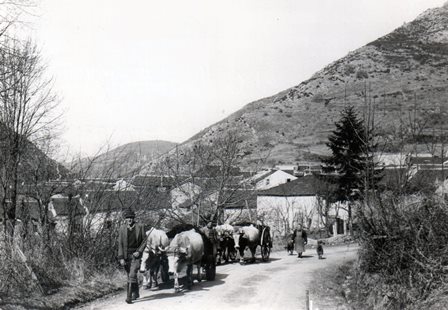 Scène de travail à Escouloubre