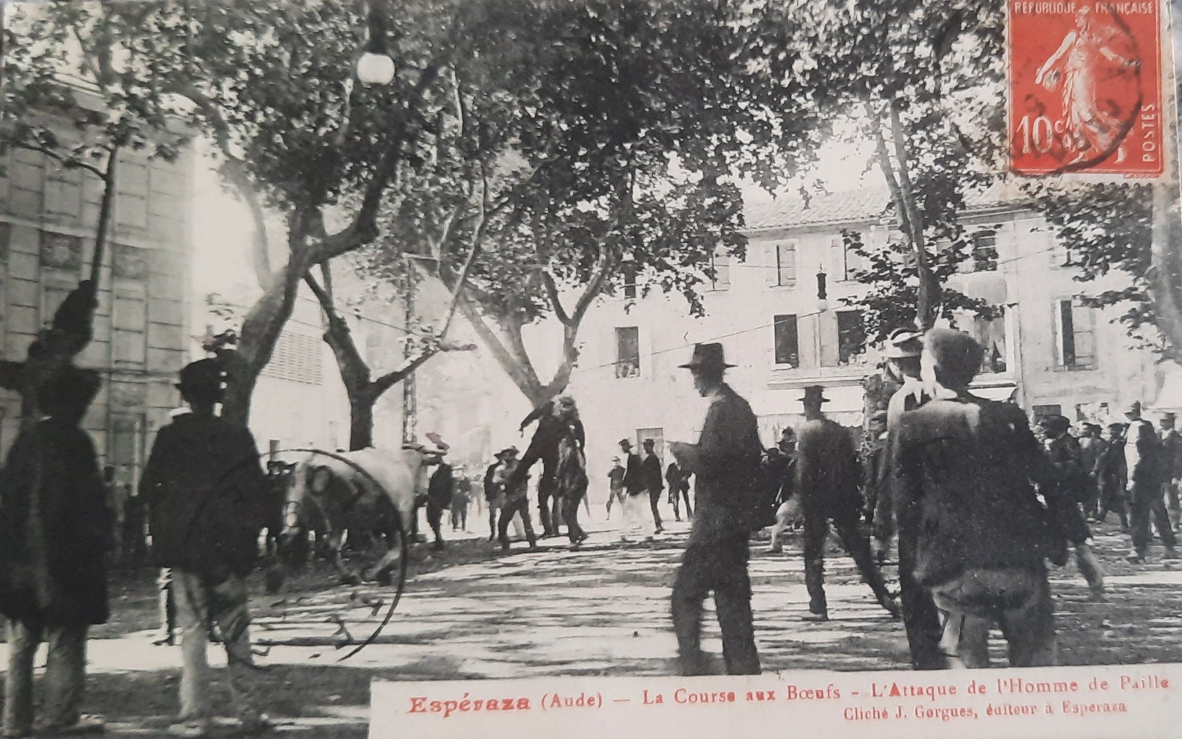 Course boeuf Esperaza 10