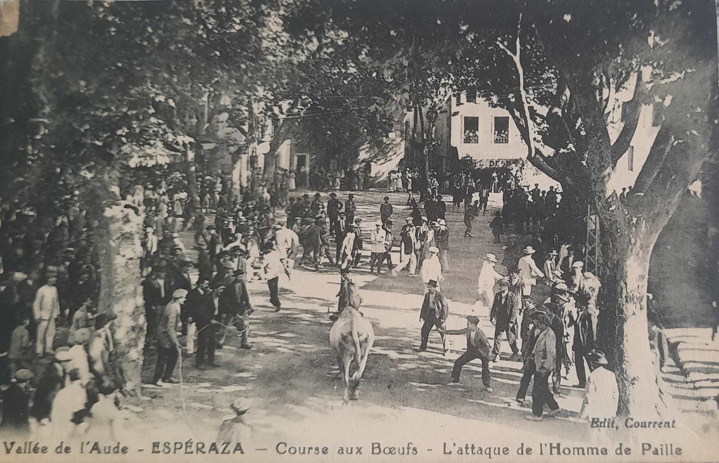 Course boeuf Esperaza 3