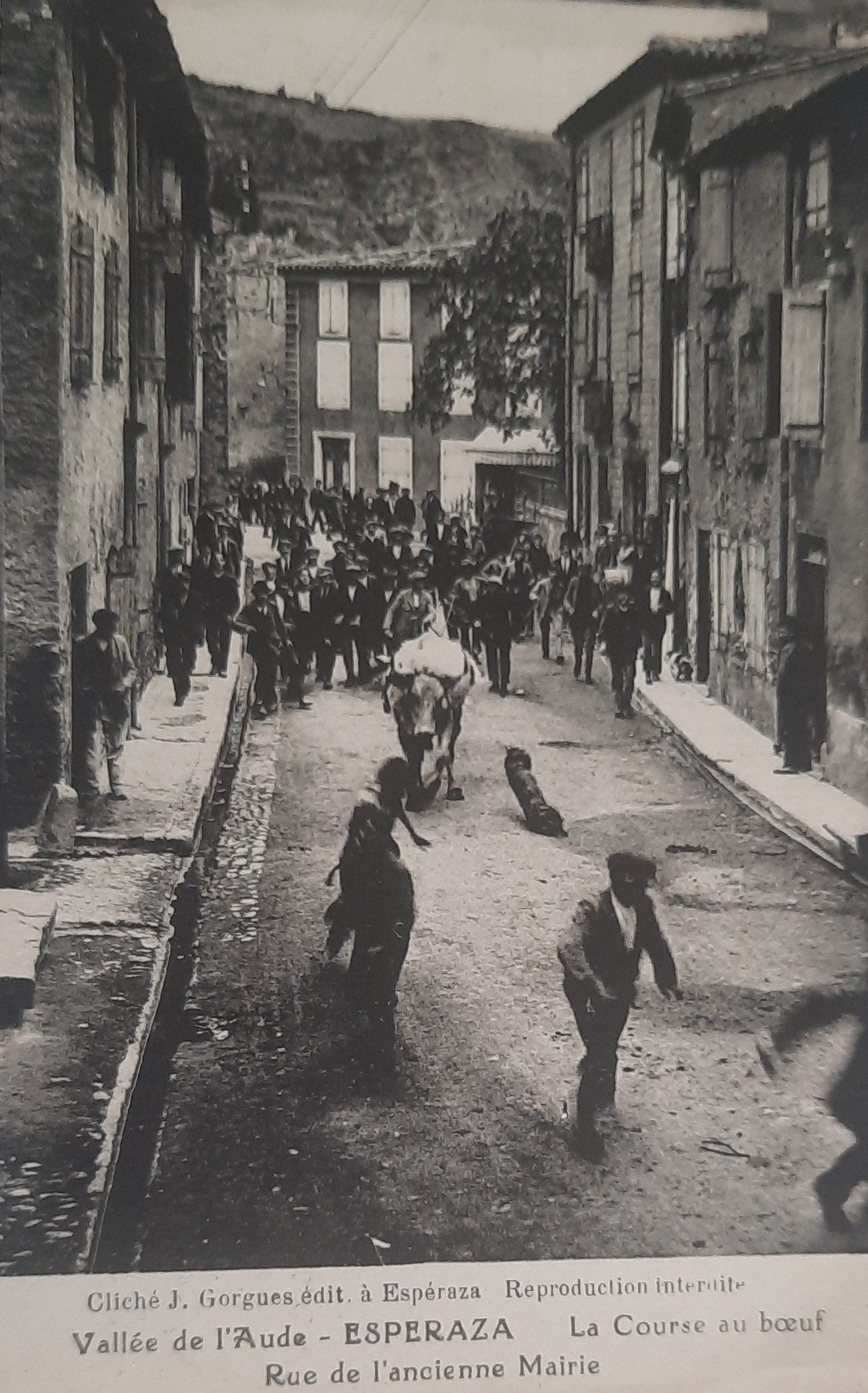 Course boeuf Esperaza 7