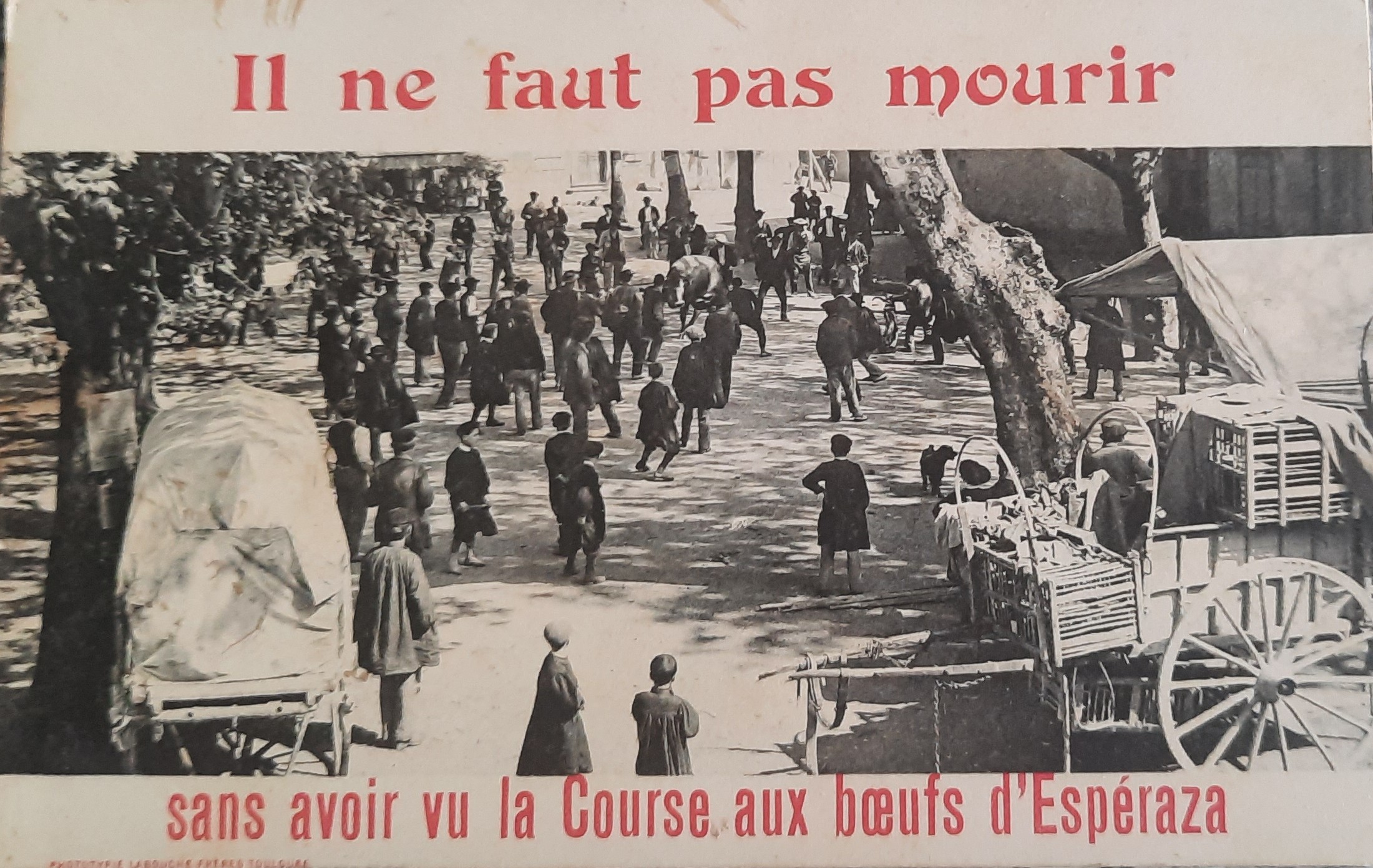 Course boeuf titre Esperaza 6